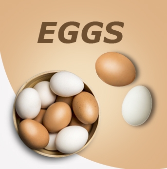 eggs2